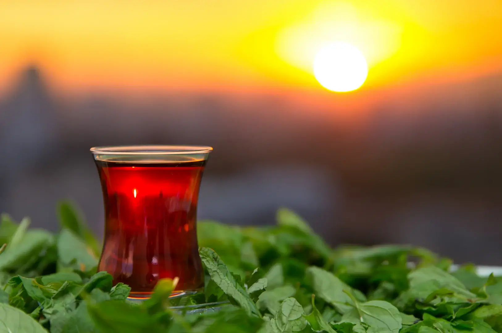 ¿Cuáles son las Mejores Marcas de Té Turco en Estados Unidos?
